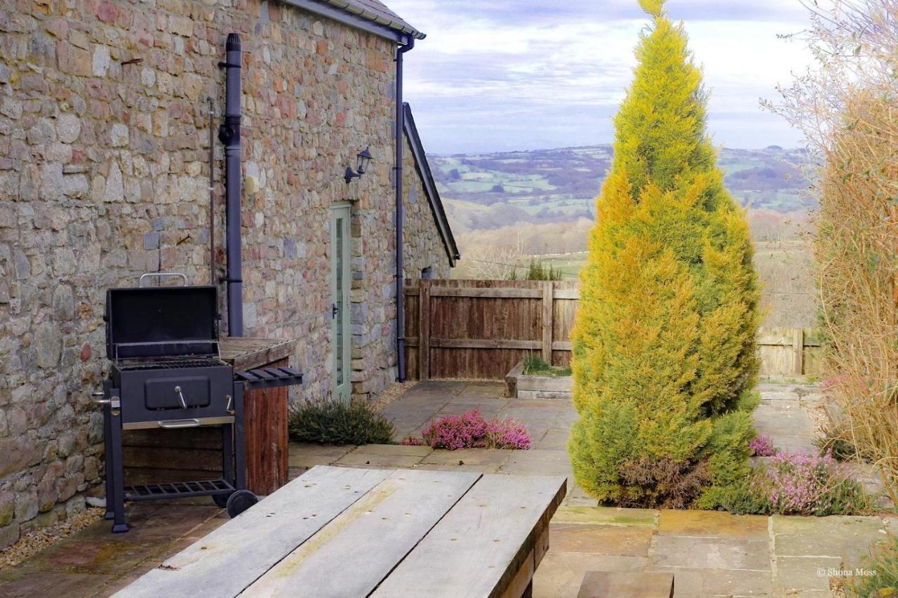 Rhiwddu Barns Villa Llangadog Kültér fotó