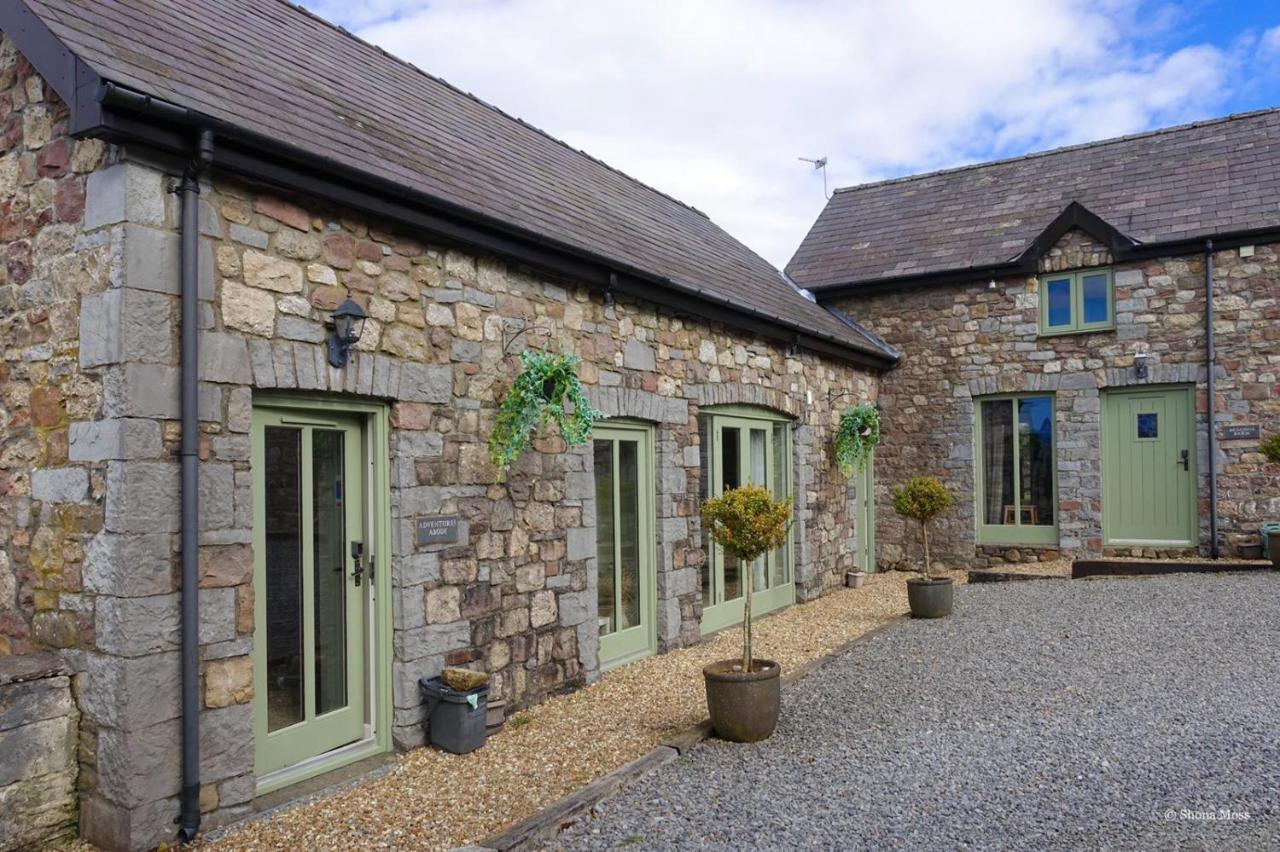Rhiwddu Barns Villa Llangadog Kültér fotó